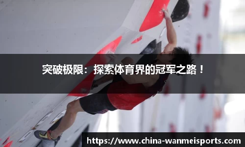 完美体育